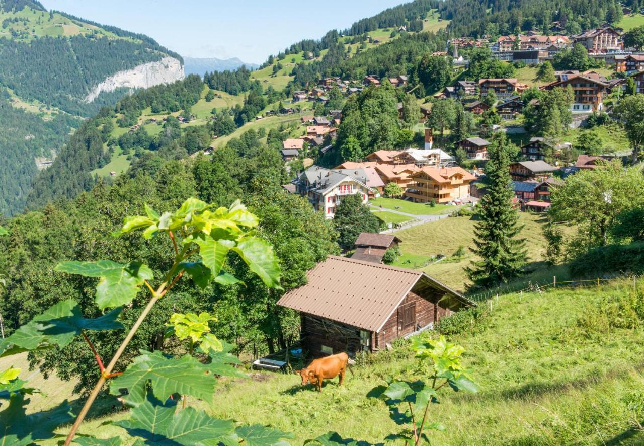 Panoramapark Soleil Chalet E Венген Экстерьер фото